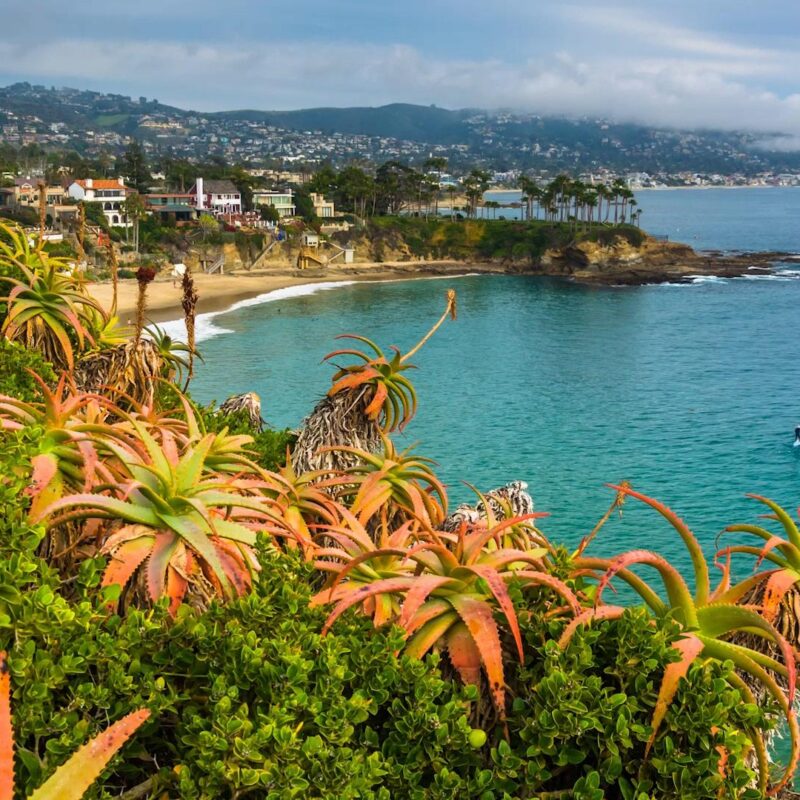 How to Celebrate Thanksgiving 2023 in Laguna Beach